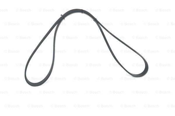 Bosch Drive belt - 5PK725